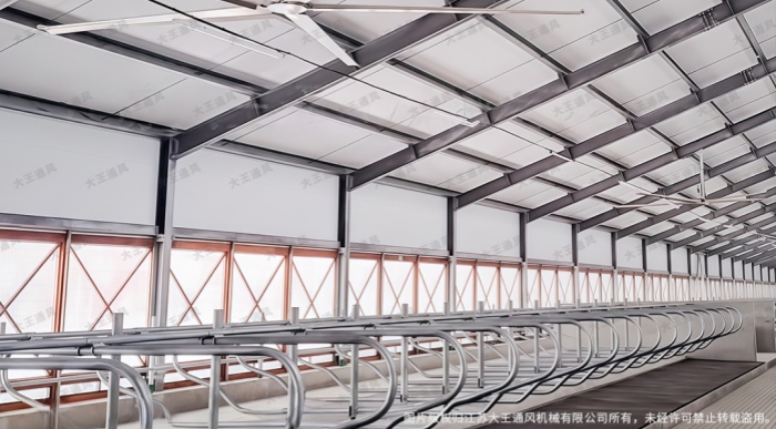 Future Development Trends of Large Industrial Ceiling Fans