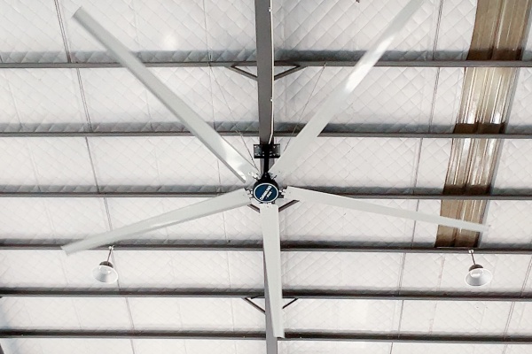 2026 FAQ on Industrial Fans: A Professional Guide to Selecting and Using DaWang Fans